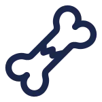 Bone Crack SVG Icon